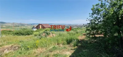 Teren Intravilan Construibil 1800 mp cu Deschidere la Doua Strazi - Alba Iulia