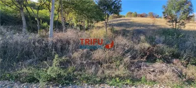 Teren intravilan 600 mp de vanzare zona Alba Micesti - foto 2