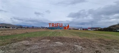 Teren extravilan 3200 mp de vanzare Sard - foto 3