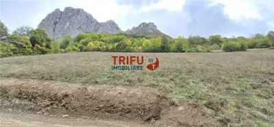 Teren Intravilan de Vanzare in Zona Turistica Ramet - Ramet
