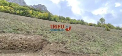 Teren Intravilan de Vanzare in Zona Turistica Ramet - foto 2