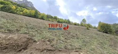 Teren Intravilan de Vanzare in Zona Turistica Ramet - foto 4