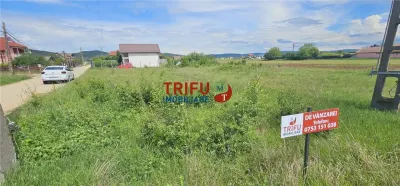 Teren intravilan 814mp in Micesti - Alba Iulia