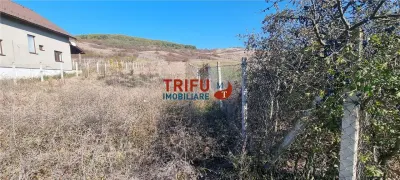 Teren 1600 mp de vanzare in comuna Ciugud cu toate utilitatile - foto 2