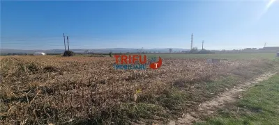 Teren intravilan de vanzare 2900 mp pe Soseaua de Centura - foto 2