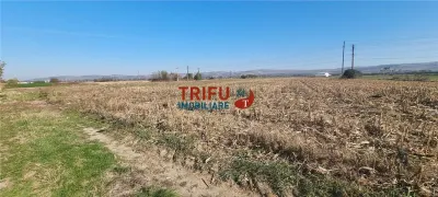 Teren intravilan de vanzare 2900 mp pe Soseaua de Centura - foto 3