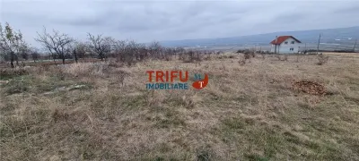 Teren intravilan 4800 mp de vanzare Paclisa-Coasta Curata - foto 2