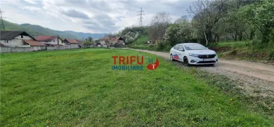 Teren de vis la liziera pădurii – liniște, natură și aer curat! - foto 2