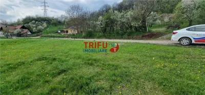 Teren de vis la liziera pădurii – liniște, natură și aer curat! - foto 3