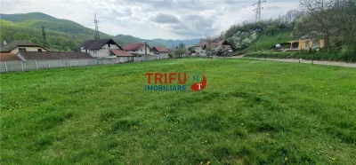 Teren de vis la liziera pădurii – liniște, natură și aer curat! - foto 4