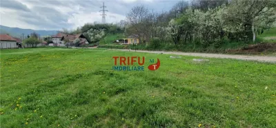 Teren de vis la liziera pădurii – liniște, natură și aer curat! - foto 6