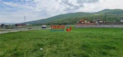Teren de vis la liziera pădurii – liniște, natură și aer curat! - foto 7