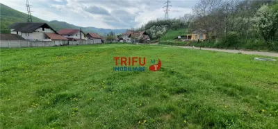 Teren de vis la liziera pădurii – liniște, natură și aer curat! - foto 8