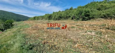Teren de vanzare 1700 mp cu utilitati in Sard - foto 3