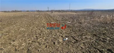 Teren de Vanzare Zona Soseaua De Centura ! - foto 6