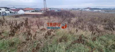 Teren intravilan 2344 mp de vanzare  Alba Micesti la asfalt - foto 2