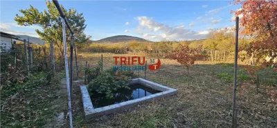 OFERTĂ!!! Casă în Cricău cu 1776mp teren, 1 ha teren arabil și 10arii de vie - foto 9