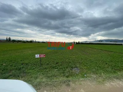 Teren extravilan de vânzare în Bărăbanț - foto 3