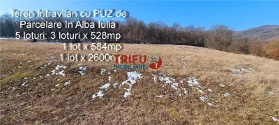 Teren Intravilan cu PUZ de Parcelare în Alba Iulia - Alba Iulia