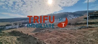 Teren intravilan 1020 mp de vanzare zona Alba Micesti spre padure cu utilitati - foto 3