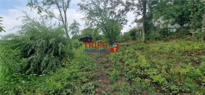 Oportunitate de Investiție: Teren 24000mp Intravilan Construibil în Galda de Jos - foto 13