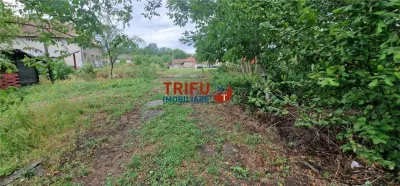 Oportunitate de Investiție: Teren 24000mp Intravilan Construibil în Galda de Jos - foto 9