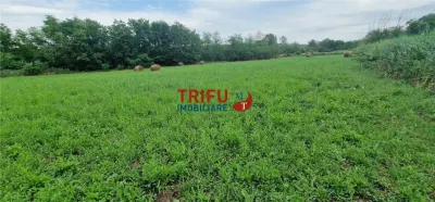 Oportunitate de Investiție: Teren 24000mp Intravilan Construibil în Galda de Jos - foto 10