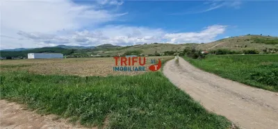 Teren intravilan in zona industriala13100 in Sard - foto 4