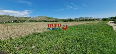 Teren intravilan in zona industriala13100 in Sard - foto 6