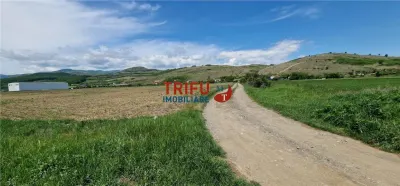 Teren intravilan in zona industriala13100 in Sard - foto 7