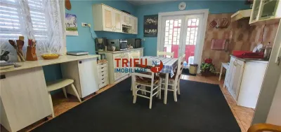 Casa de vanzare 6 camere zona Gara Alba Iulia 869mp teren - foto 3