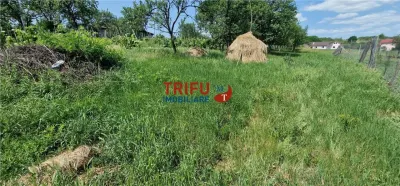 Teren intravilan cu utilitati 1803 mp în Oarda - foto 3