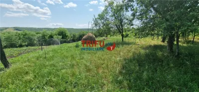 Teren intravilan cu utilitati 1803 mp în Oarda - foto 4