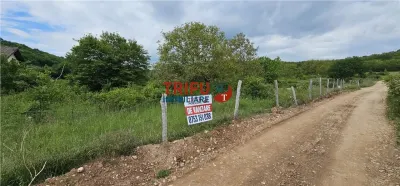 Teren Intravilan de 2000 mp de Vânzare în Valea Popii – Oportunitate de Neratat - Alba Iulia