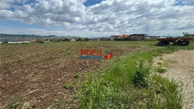 Teren Intravilan construibil de 2740 mp în Micești, Alba Iulia - foto 1