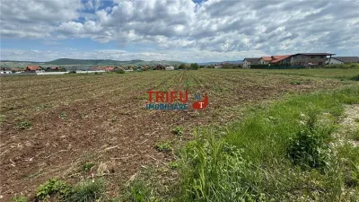 Teren Intravilan construibil de 2740 mp în Micești, Alba Iulia - foto 3
