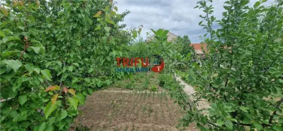 Casă Spațioasă cu Grădină Generoasă în Ciugud, Alba - foto 18