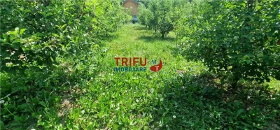 Teren de vanzare zona Ampoita - foto 8