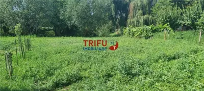 Casă de vânzare cu 3000mp teren în Micești - foto 10