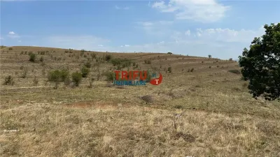 Teren pentru relaxare și agricultură în Barabant, Alba Iulia – Extindere posibilă! - foto 17