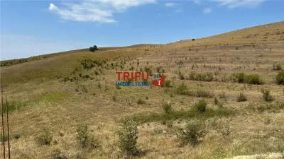 Teren pentru relaxare și agricultură în Barabant, Alba Iulia – Extindere posibilă! - foto 21