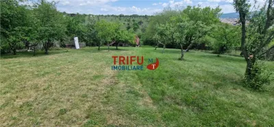Teren intravilan de vanzare zona Schit - foto 3