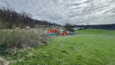 Teren de vanzare pentru cabana langa padure in Ampoita - foto 1