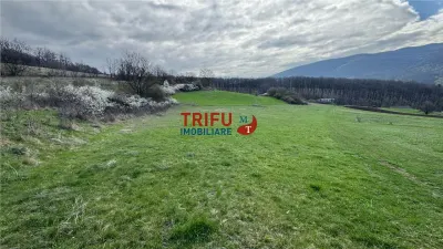 Teren de vanzare pentru cabana langa padure in Ampoita - foto 2
