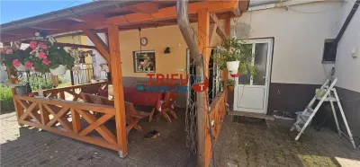 Casa individuala de inchiriat in Alba Iulia Centru 4 camere - foto 15
