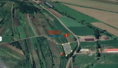 Teren extravilan 1400 mp de vânzare în Șard – deschidere la două străzi - Sard
