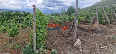 Teren extravilan 1400 mp de vânzare în Șard – deschidere la două străzi - foto 6