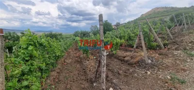 Teren extravilan 1400 mp de vânzare în Șard – deschidere la două străzi - foto 7