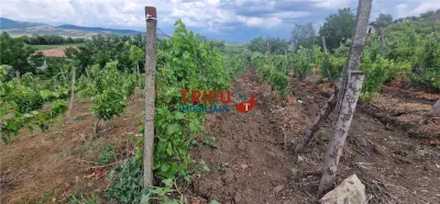 Teren extravilan 1400 mp de vânzare în Șard – deschidere la două străzi - foto 8