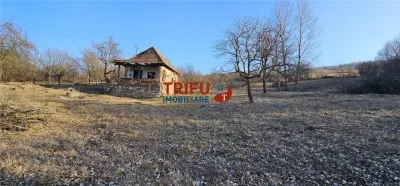 Teren intravilan de vanzare in Ampoita 1365 mp - foto 2